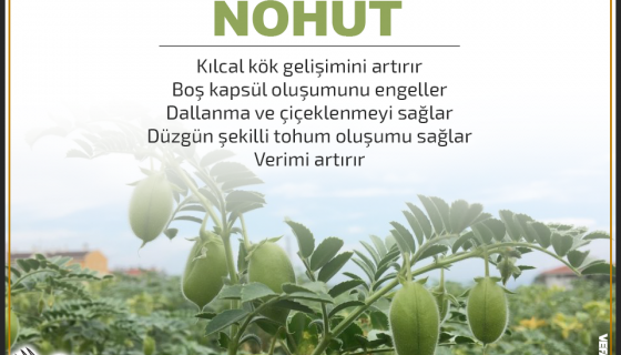 ÜRÜNÜMÜZÜN FAYDALARI